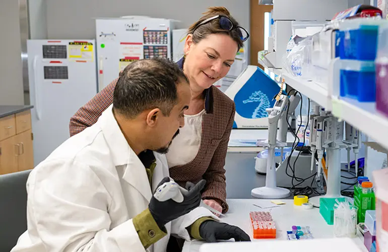 Two NEOMED researchers talk while surrounded by lab equipment.