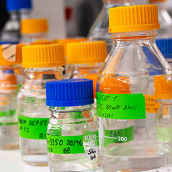 Liquids in small bottles with bright orange caps.