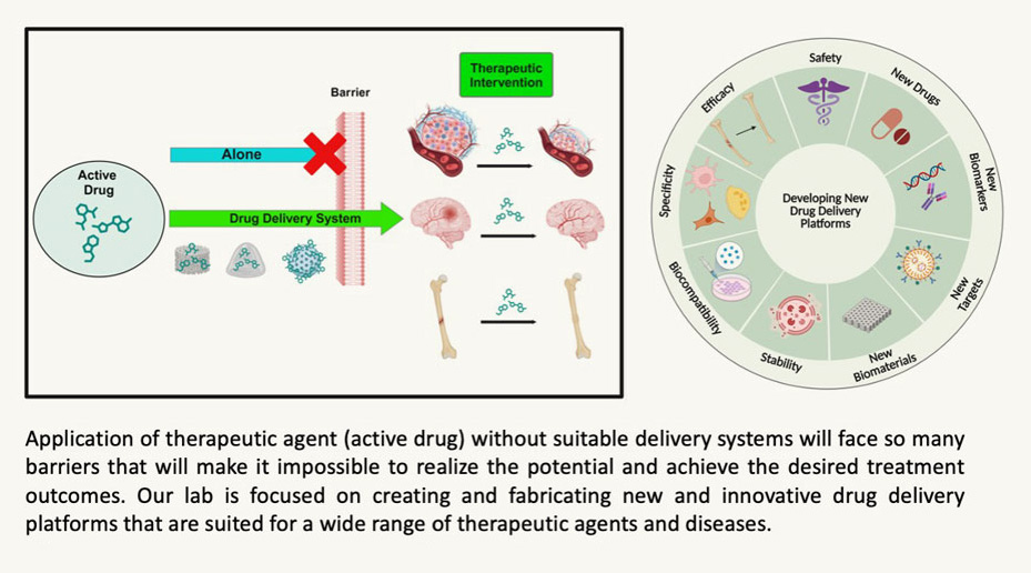 A diagram showing that the therapeutic agents (active drug) will require suitable delivery systems to overcome so many barriers confronting realization of their potentials in treating diseases. Our lab is focused on creating and fabricating innovative delivery systems that are biocompatible and effective in achieving treatment outcomes in different disease conditions.